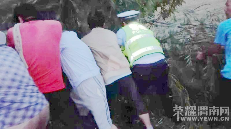 �����Ű�µĸж� Ϊ��μ�����������ڸ�������