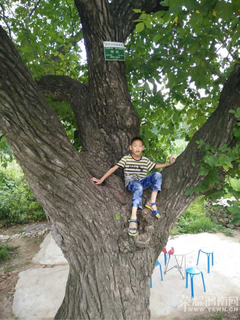 ���и���һСѧУκ�����Բ�������ʧ��������˰�æת��