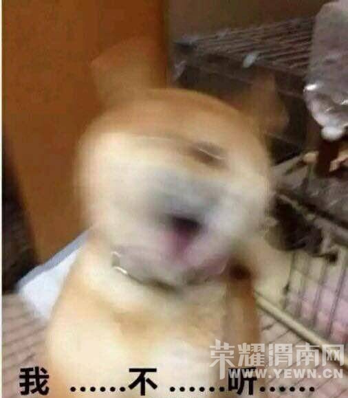 ϲ���ձ������ӹ������ߵ���ף�ü��գ�