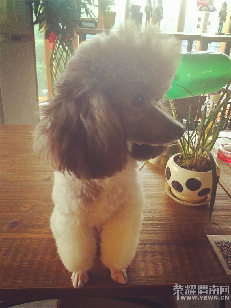 7��6����9:30���Ǽҹ����ڻ����̳��ſ���ʧ���λؼң�