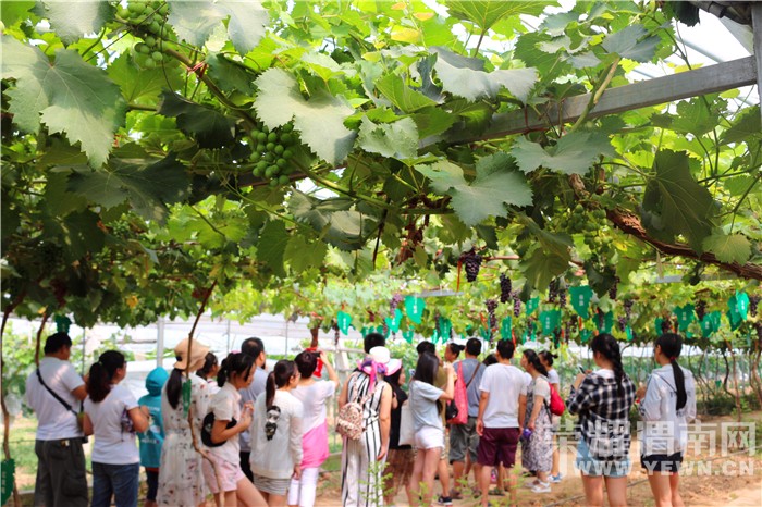 ��μ�����Ѳ�ҵ԰�Ļ��ڡ�ʢ����