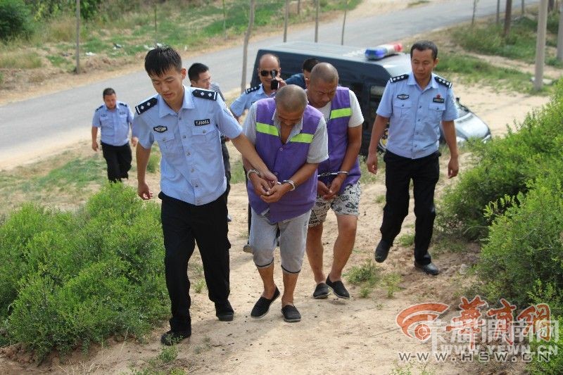 ����4���ӵ����Ĺ��11������ �����������ͬ��ץ