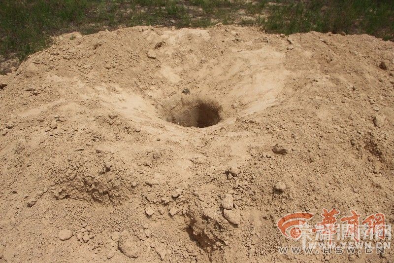 ����4���ӵ����Ĺ��11������ �����������ͬ��ץ