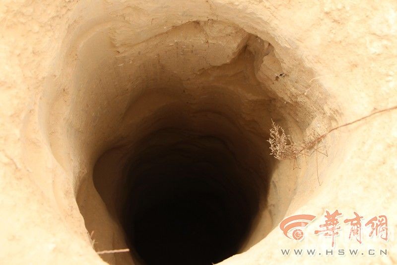 ����4���ӵ����Ĺ��11������ �����������ͬ��ץ