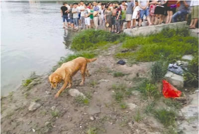 ���Ӵ���������ϴ��ʱ˫˫���� ���ڽ����ǻ���