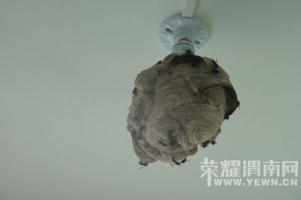 �׶�԰���ֺ���������  μ���������ٳɹ�ժ��