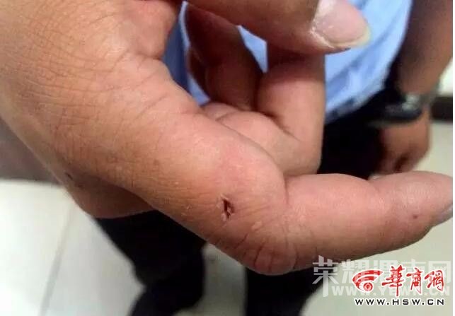 μ��������������֤��ʻ��������� ���������ҧ��