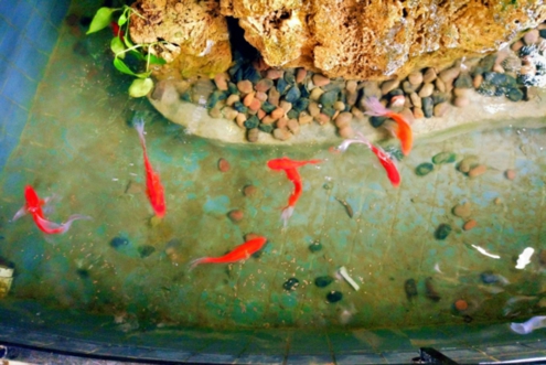 û�вμӰ��ռ�԰����ͳ�Ļ��ڡ����ˣ�������Щ׼��ڣ�