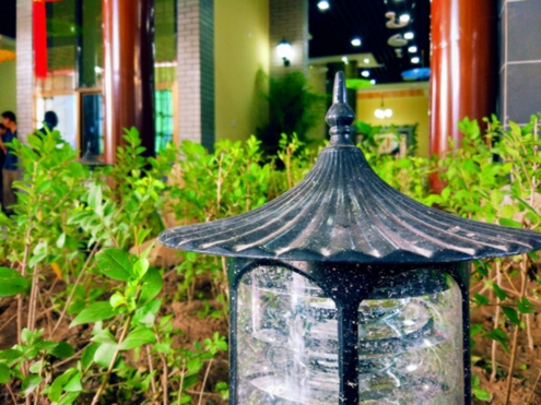 û�вμӰ��ռ�԰����ͳ�Ļ��ڡ����ˣ�������Щ׼��ڣ�