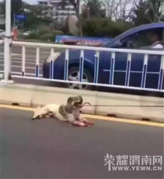 ɽŰ¼飬ؾѽ飡
