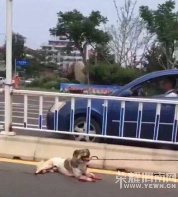 ���ò��̡����ӿ�����С��˩���������� ·��Χ��