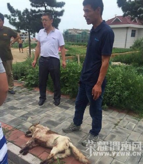 ���ò��̡����ӿ�����С��˩���������� ·��Χ��