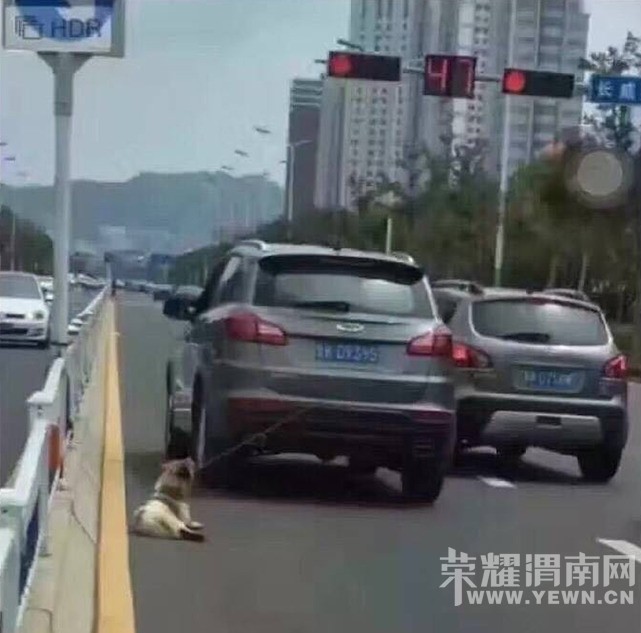 ���ò��̡����ӿ�����С��˩���������� ·��Χ��