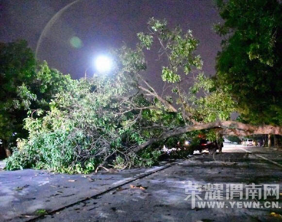 �ܡ���槡�̨��Ӱ�� μ�ϱ�վ����10�пͳ�ͣ��