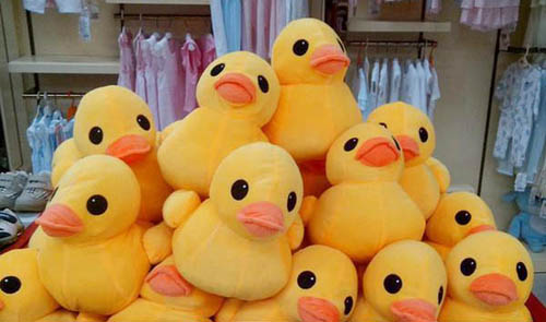 ץ��������ˮ�̣�  �������դ���ҫCiˮʪ��ſ��ʼ������������