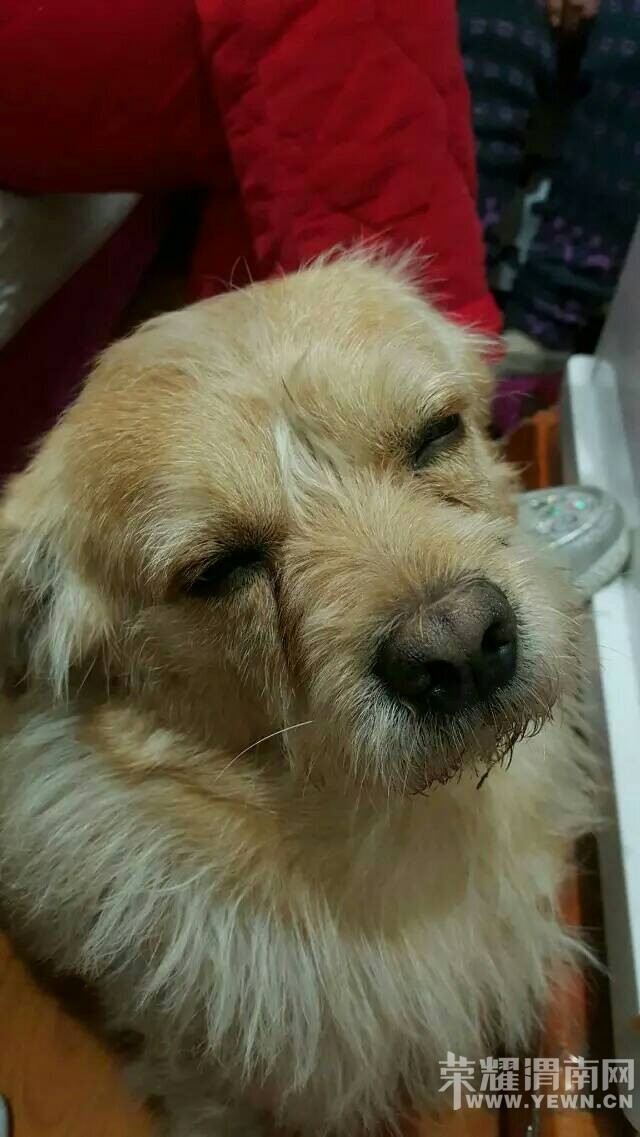 8��3�ջ�ɫС��������·�ͽ��·��ʧ�����æ��ɢ��