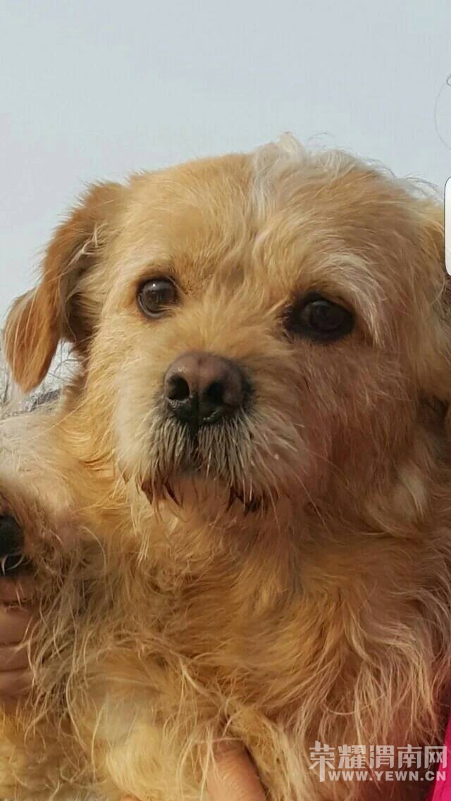 8��3�ջ�ɫС��������·�ͽ��·��ʧ�����æ��ɢ��