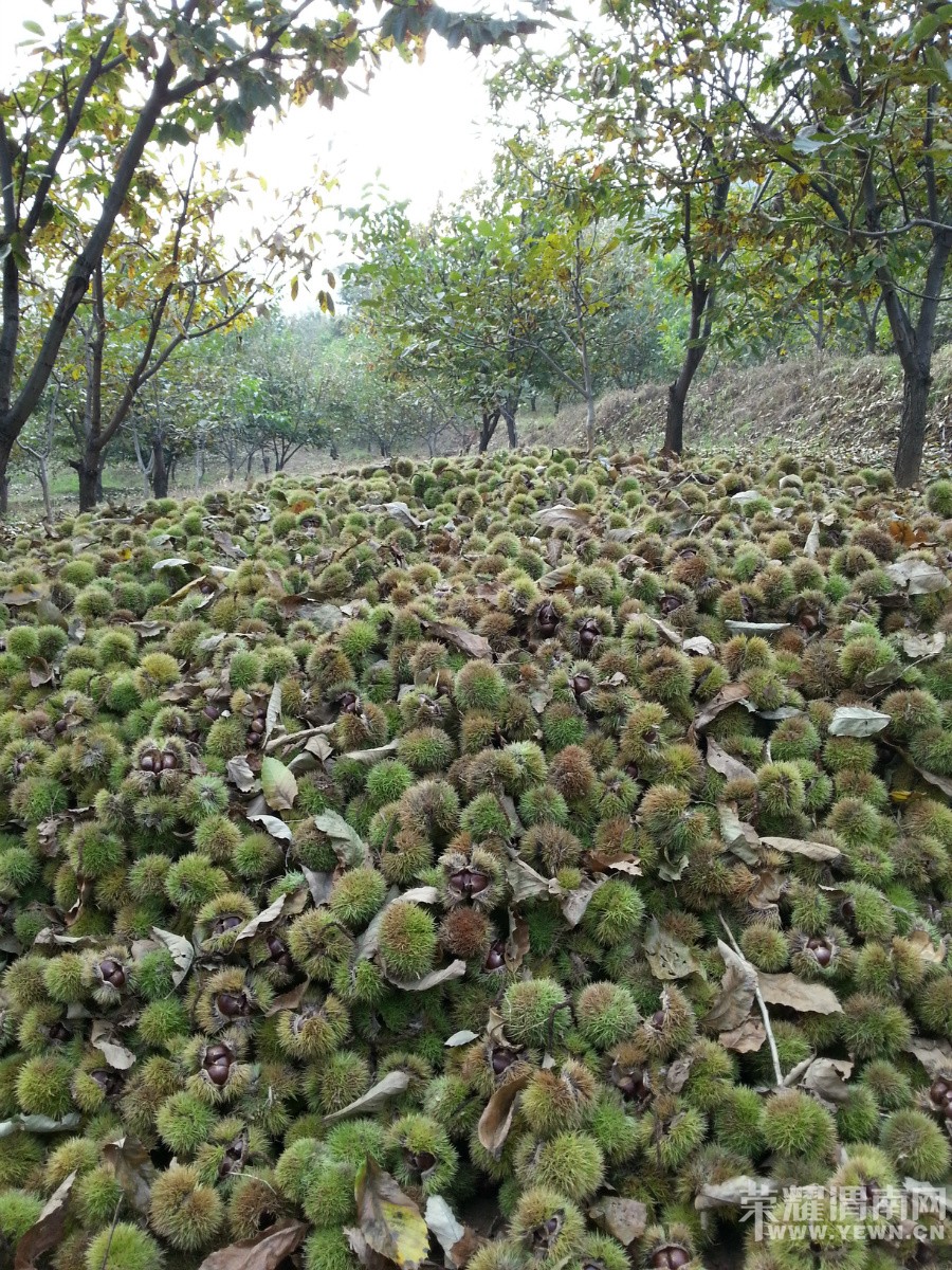 �����ذ���̲����֮������Բ��