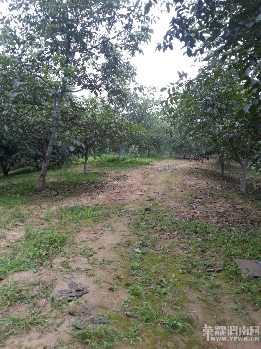 �����ذ���̲����֮������Բ��