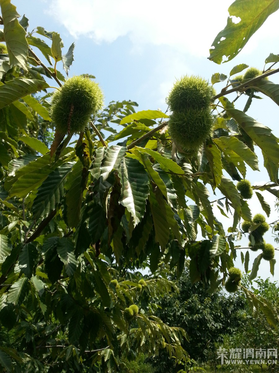 �����ذ���̲����֮������Բ��