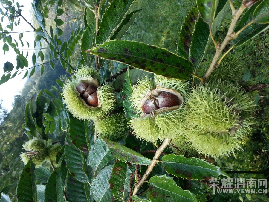 �����ذ���̲����֮������Բ��