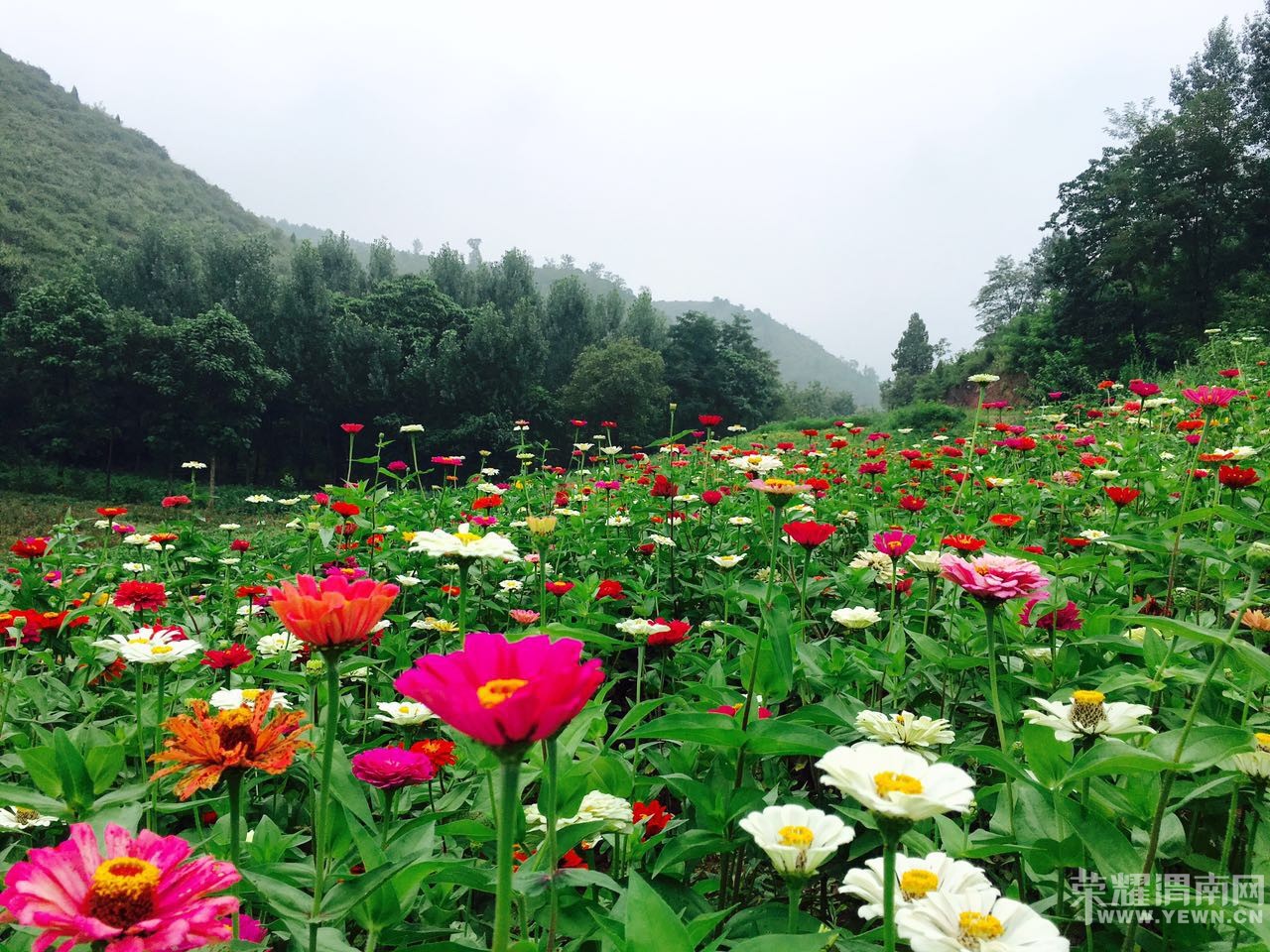 ����¬����������ũ�ֳ���ʮ�Ľ������մ�԰