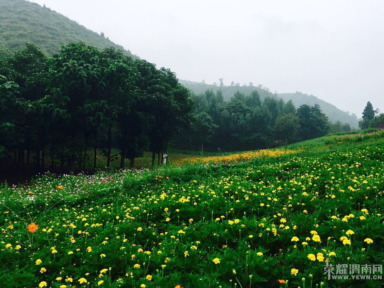 ����¬����������ũ�ֳ���ʮ�Ľ������մ�԰