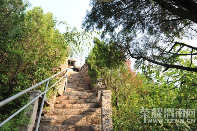 ��μ�ϸ��»��⡿����ţ�