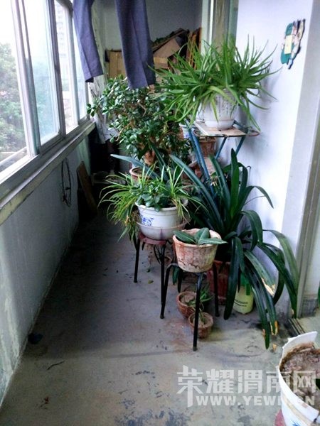 �����·�����-������������-���ͷ���ë��������