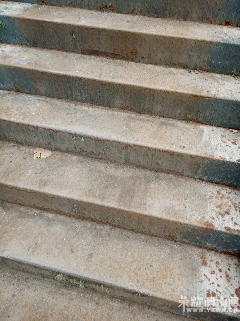 ������һ·��̫���׶�԰��¥�ݣ����ⶼ��ɨ���