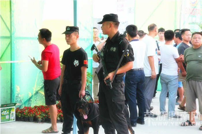 ������ • �ڱ�����μ�ϵ����ơ�ƽ���ҹʢ��Ļ��