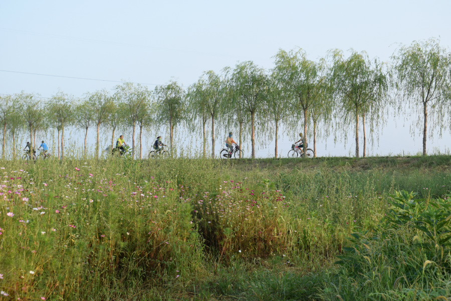 ����μ��̲2016��08��12��