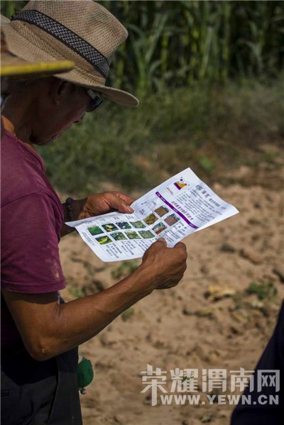 2016��μ�������׸߲��������溦�����ֳ���