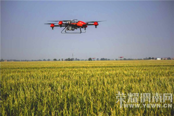 2016��μ�������׸߲��������溦�����ֳ���