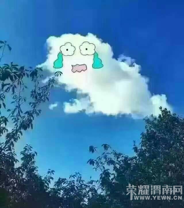 224037slyyhu10mzl1xqzf.jpg