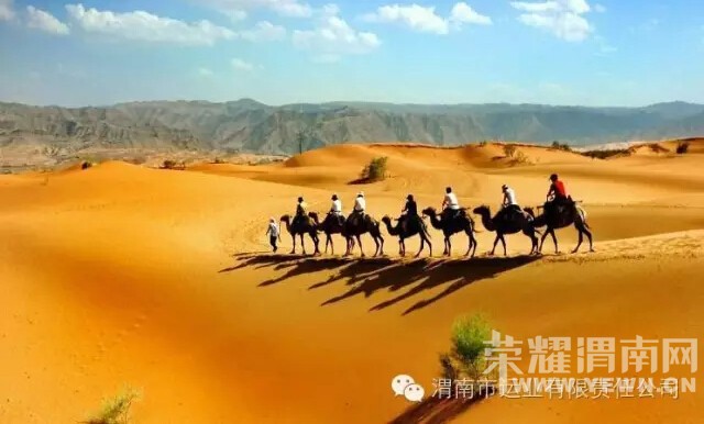 ��ɳ��ͷ+Ӱ�ӻ���+�Ӱ������+��԰+���������+�ս�+Ѧ��կ������������