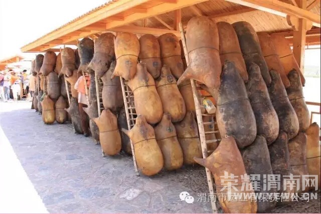 ��ɳ��ͷ+Ӱ�ӻ���+�Ӱ������+��԰+���������+�ս�+Ѧ��կ������������