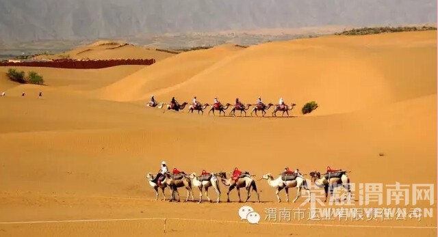 ��ɳ��ͷ+Ӱ�ӻ���+�Ӱ������+��԰+���������+�ս�+Ѧ��կ������������