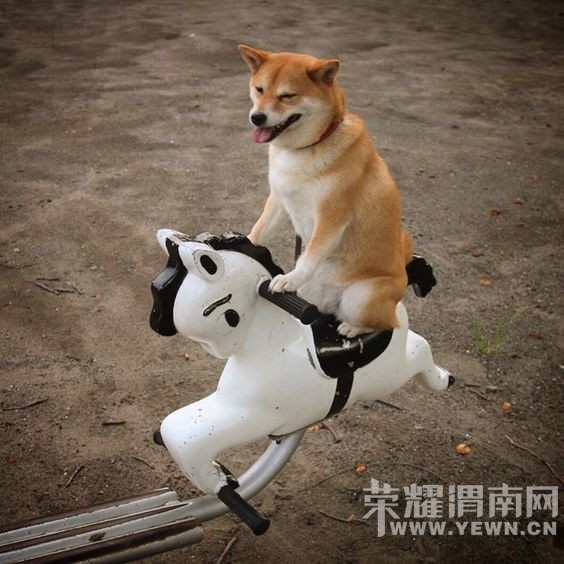 700Ԫ�͸������ô�и���ĳ��ⷿ���ձ�ҵ��90�����Ӳ����ˡ�