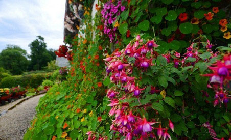 ũ��СԺ�����������鿥�ӸУ��ɾն����£���Ȼ����ɽ~