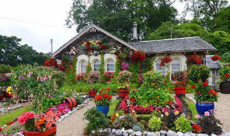 ũ��СԺ�����������鿥�ӸУ��ɾն����£���Ȼ����ɽ~