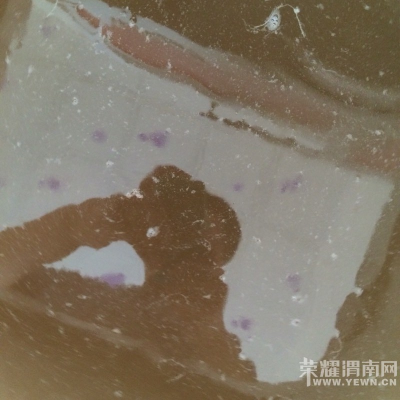 ��μ�����������ˮ�����˵���ܺ���