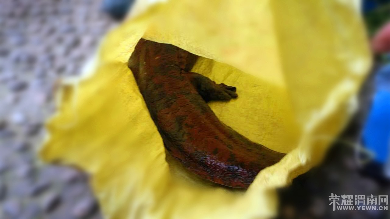 û��ŮƱ�����м�ֱ�ˣ�����������������������Ҳ����