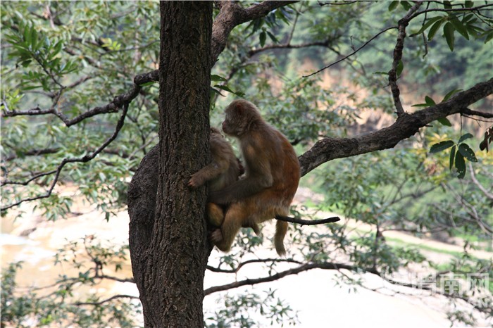 û��ŮƱ�����м�ֱ�ˣ�����������������������Ҳ����