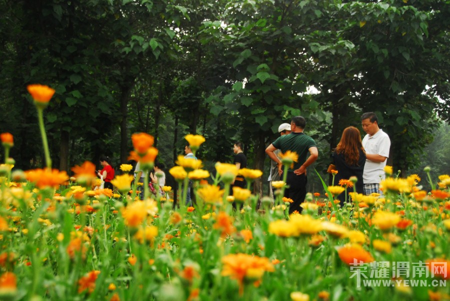 ԥ����Ͽ�ȡ�Ư���Ź��ڡ��Ƴ�����Ư���ۣ�