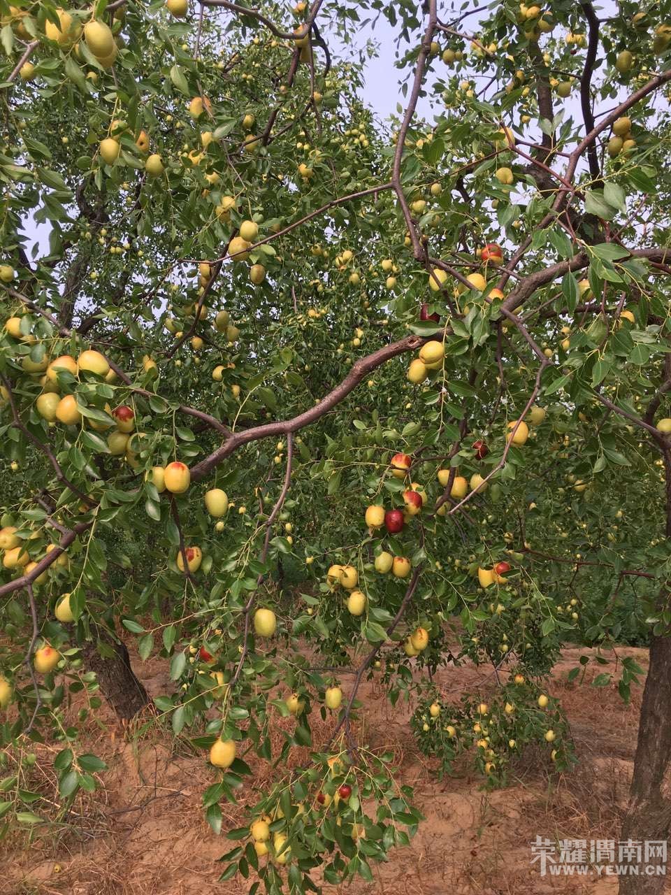 ժˮ�桢����� |�����Ի|8��25��27������ũ��ˮ��| ���в�ժ����ũ�ҹ��������Σ�