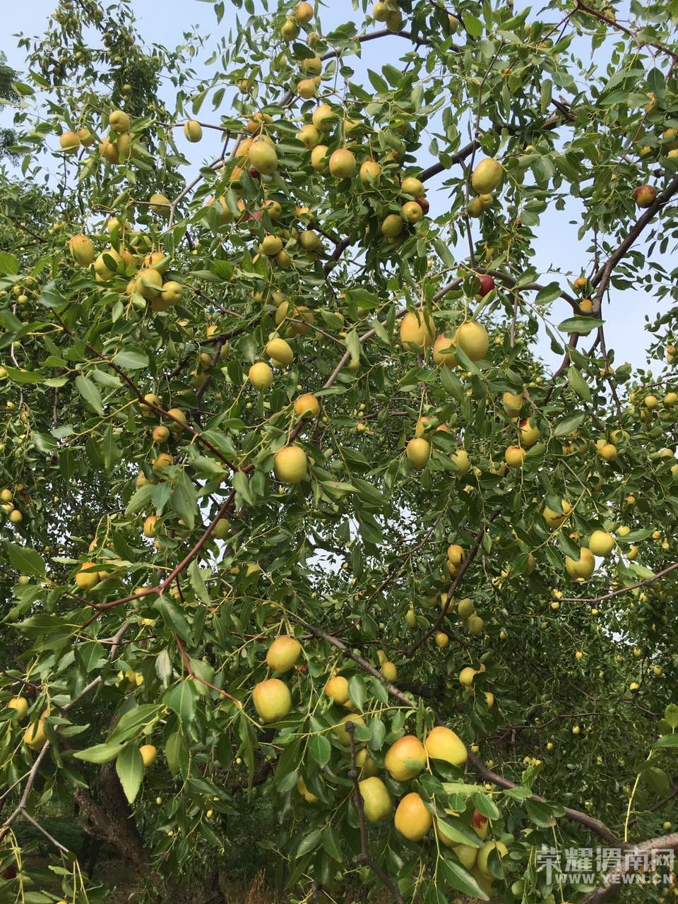 ժˮ�桢����� |�����Ի|8��25��27������ũ��ˮ��| ���в�ժ����ũ�ҹ��������Σ�