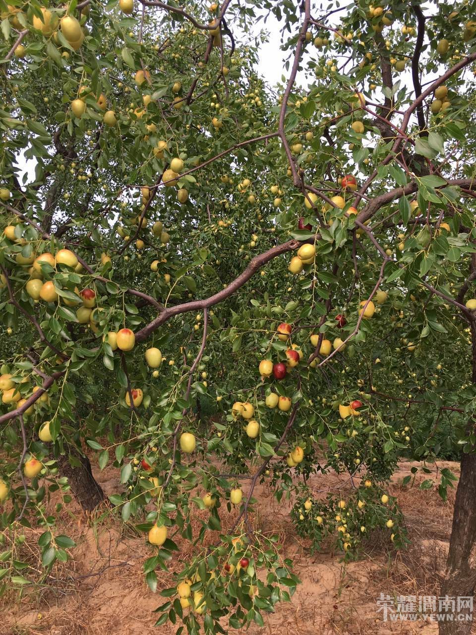 ժˮ�桢����� |�����Ի|8��25��27������ũ��ˮ��| ���в�ժ����ũ�ҹ��������Σ�