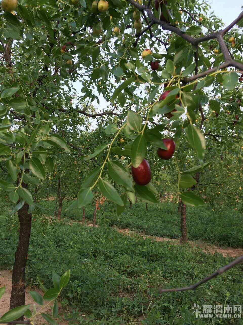 ժˮ�桢����� |�����Ի|8��25��27������ũ��ˮ��| ���в�ժ����ũ�ҹ��������Σ�