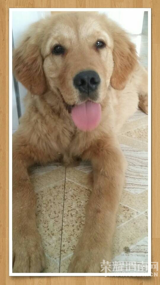 ���˹��������ӡ��ھ������ֲ��г��ԱߵĴ󼪴��߶������������